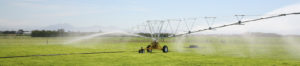 Rainer irrigation system